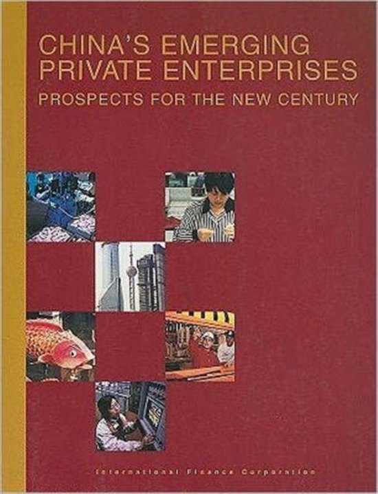 China's Emerging Private Enterprises