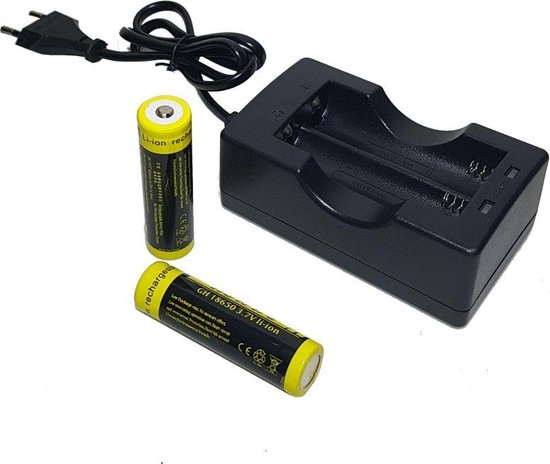 Dubbele 18650 net lader + 2 X hoog vermogen accu batterij | bol.com