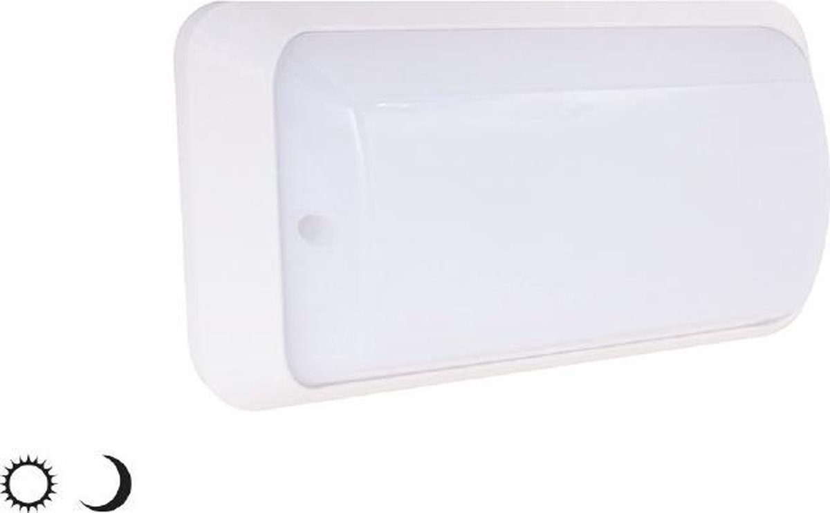 LED portiek armatuur met schemerschakelaar - type 2045P (wit licht 4000K) |  bol.com