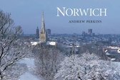 Norwich Groundcover