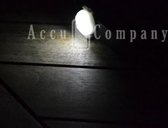 3 stuks LED lamp voor om halsband of tuig