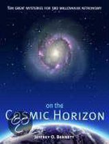 On the Cosmic Horizon