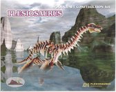 3D puzzel bouwpakket Dino Plesiosaurus + Styracosaurus in kleur