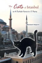 The Cats of Istanbul