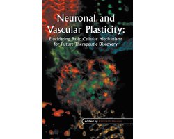 Neuronal and Vascular Plasticity