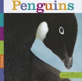 Seedlings- Penguins