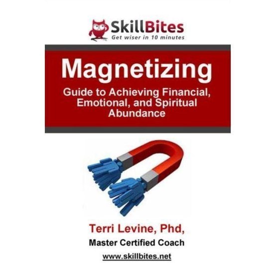Magnetizing - cover