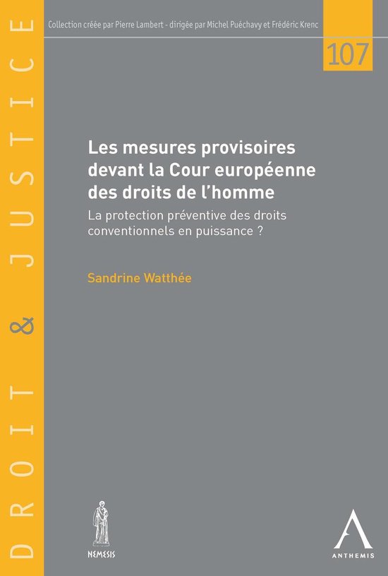 Les mesures provisoires devant la Cour européenne des droit ... - cover