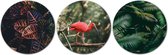 Forex Muurcirkel Set -  Set Rode Vogel Jungle - Set van 3 Wandcirkels met Ophangsystemen - 20x20x20