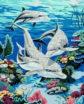 Paint By Numbers - Schilderen op Nummer - Onderwaterwereld - 50x40cm - Volwassenen - Stipco