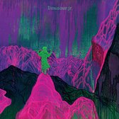 Dinosaur Jr - Give A Glimpse Of What Yer Not (CD)