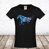 Zwart tshirt met paard -Fruit of the Loom-158/164-t-shirts meisjes