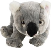National Geographic Knuffel - Baby Koala - 26cm