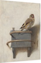 Het puttertje, Carel Fabritius - Foto op Dibond - 30 x 40 cm