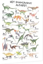 Educatieve poster (Dibond) - Taal het dinosaurus alfabet - 30 x 40 cm