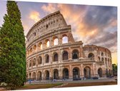 Flavisch Amfitheater bekend als Colosseum in Rome - Foto op Dibond - 60 x 40 cm