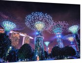 Supertree Grove in Singapore in neon verlichting - Foto op Dibond - 60 x 40 cm