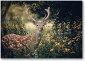 Hert in de herfst - 120 Stukjes puzzel voor volwassenen - Dieren