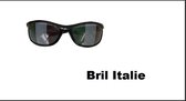 Bril Italie vlag bril voor volwassenen - Supporter landen Italiaans vlag festival
