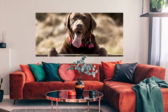 Poster Labrador Retriever regardant par-dessus une clôture - 150x75 cm