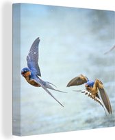 Tableau Toile Hirondelles - Water - Blauw - 90x90 cm - Décoration murale