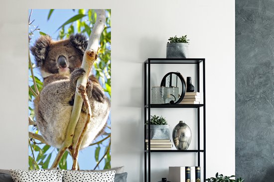 Poster Koala - Ciel - Branches - Enfants - Garçons - Meiden - 80x160 cm