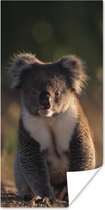 Poster Koala - Zon - Dier - Kinderen - Jongens - Meisjes - 75x150 cm