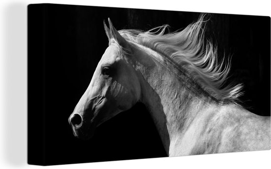 Tableau sur Toile Paarden - Animal de la Ferme - Crinière - 40x20 cm - Décoration murale