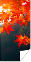 Poster Herfstbladeren in Japan - 20x40 cm
