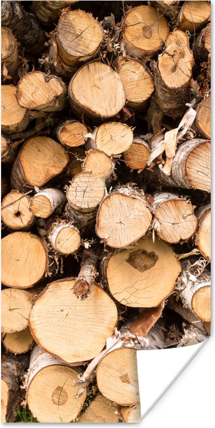 Affiche Un tas de troncs d'arbres abattus - 75x150 cm