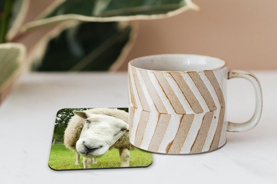 Sous- Sous-verres pour verres - Mouton - Drôle - Pâturage - 10x10 cm - 6 pièces