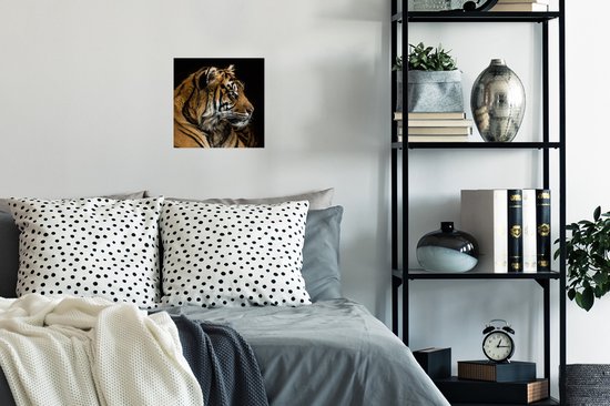Affiche Tigre - Tête d'Animal - Zwart - 30x30 cm