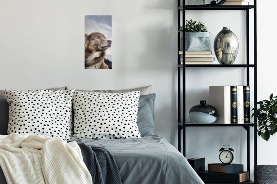 Affiche Chien qui regarde fixement - 20x40 cm