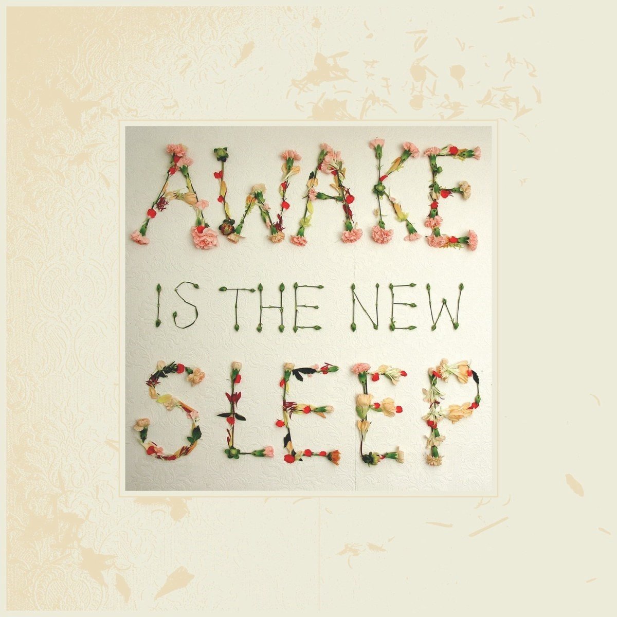 Awake Is The New Sleep (LP) (Anniversary Edition)