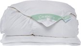 100% Luxe Ganzendons Winter & Zomer All Year - Enkel dekbed - 240x220cm