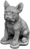 Beton beeld franse bulldog klein