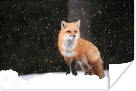 Vos in een sneeuwbui Poster 180x120 cm - Foto print op Poster (wanddecoratie woonkamer / slaapkamer) / Wilde dieren Poster XXL / Groot formaat!