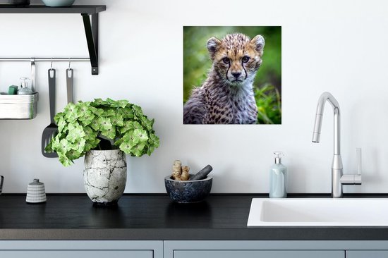 Affiche un guépard - 30x30 cm