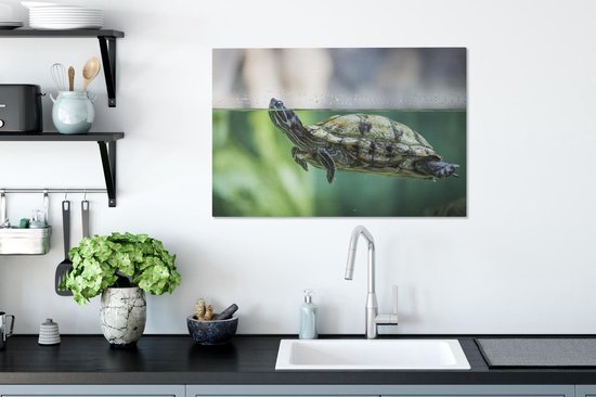 Photo en gros plan de toile de tortue 60x40 cm - Tirage photo sur toile peinture (Décoration murale salon / chambre) / Peintures sur toile Animaux