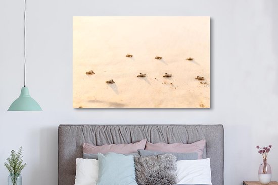 Canvas schilderij 180x120 cm - Wanddecoratie Baby schildpadden fotoprint - Muurdecoratie woonkamer - Slaapkamer decoratie - Kamer accessoires - Schilderijen