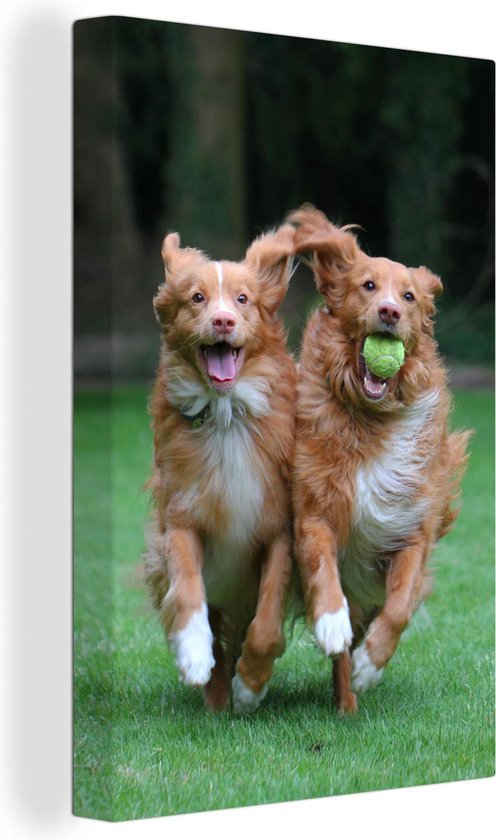 Canvas Schilderij Twee honden spelen met bal - Wanddecoratie