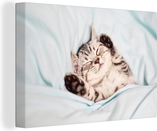 Canvas Schilderij Kitten - Bed - Poten - Wanddecoratie