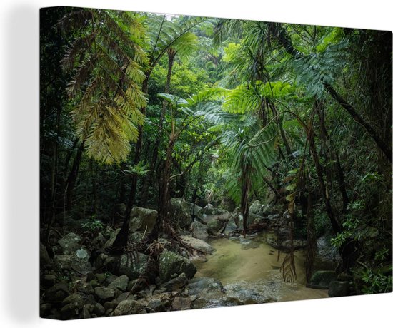 Canvas schilderij 180x120 cm - Wanddecoratie Riviertje in tropische jungle - Muurdecoratie woonkamer - Slaapkamer decoratie - Kamer accessoires - Schilderijen