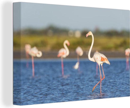 Canvas schilderij 180x120 cm - Wanddecoratie Een groep flamingo's in het water - Muurdecoratie woonkamer - Slaapkamer decoratie - Kamer accessoires - Schilderijen