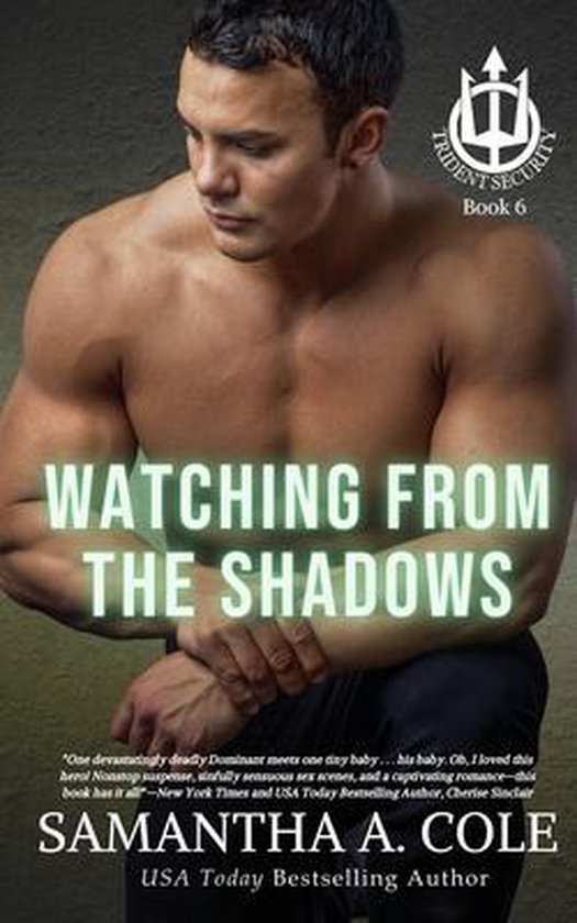 Watching From The Shadows Samantha A Cole 9781948822626 Boeken Watching From The Shadows Samantha A Cole 9781948822626 Boeken