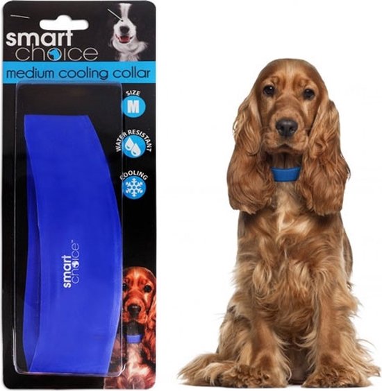 Koelhalsband voor hond - Maat M 41 x 5 cm