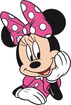 Disney Kussen Minnie Mouse Junior 28 X 20 Cm Polyester Roze/wit
