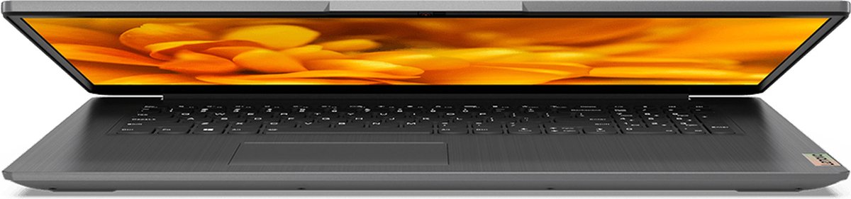 Lenovo IdeaPad 3 7505 Notebook 43,9 cm (17.3") HD+ Intel® Pentium® Gold 8 GB DDR4-SDRAM 256 GB SSD Wi-Fi 6 (802.11ax) Windows 11 Home Grijs