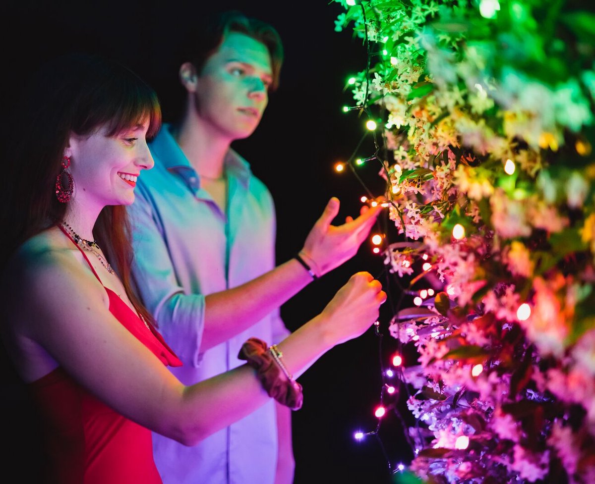 Twinkly Strings Lichtsnoer - 20M - LED - 250LED RGB - Dimbaar - Binnen & Buiten - Bluetooth of Wifi - Werkt met Homekit, Homey, Google Home en Razer Chroma - Zwart – foto 7