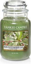 Yankee Candle Large Jar Geurkaars - Snow-Dusted Bayberry Leaf